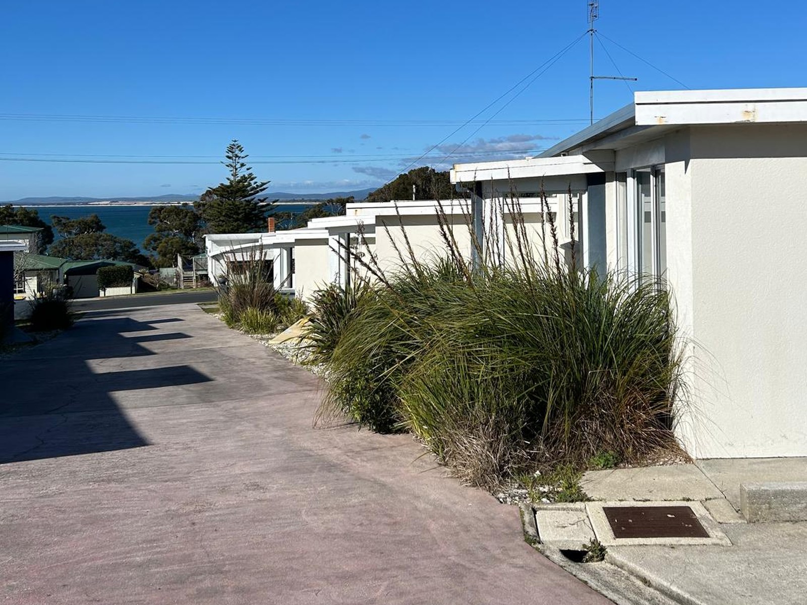 The apartments in a row along the driveway at Old Pier Apartments, with Anderson Bay beyond