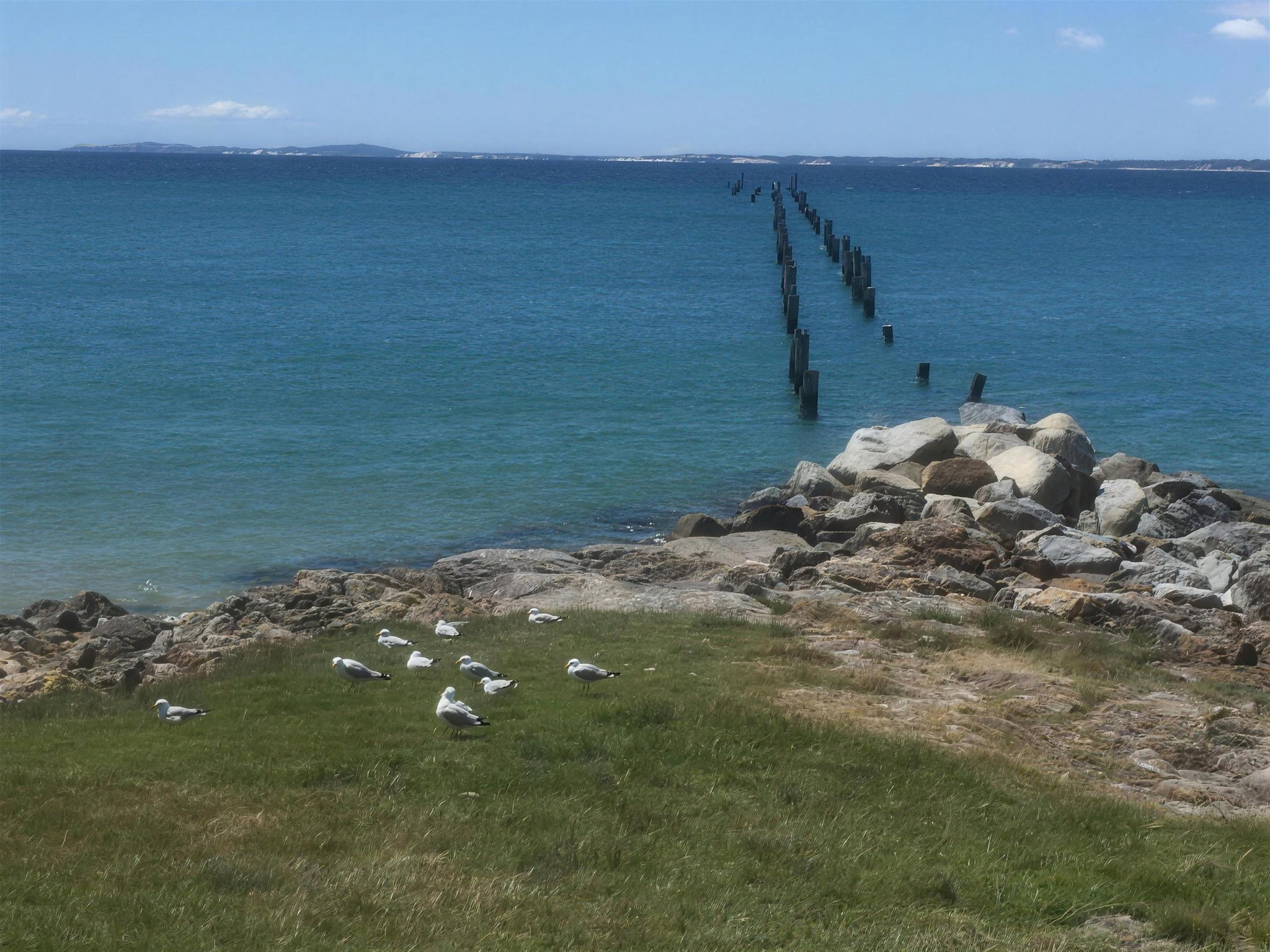 Remains of the old pier on the Bridport foreshore