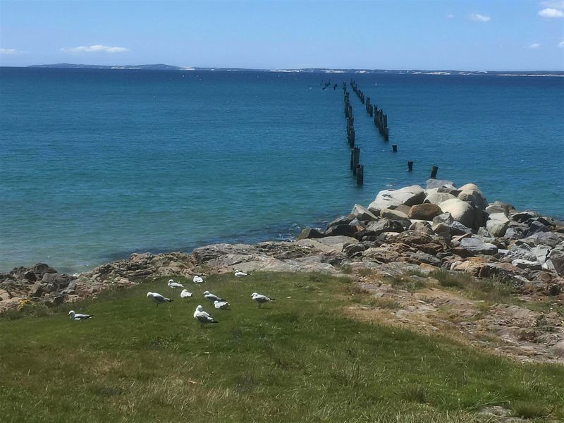 Old Pier Beach with weathered pier posts